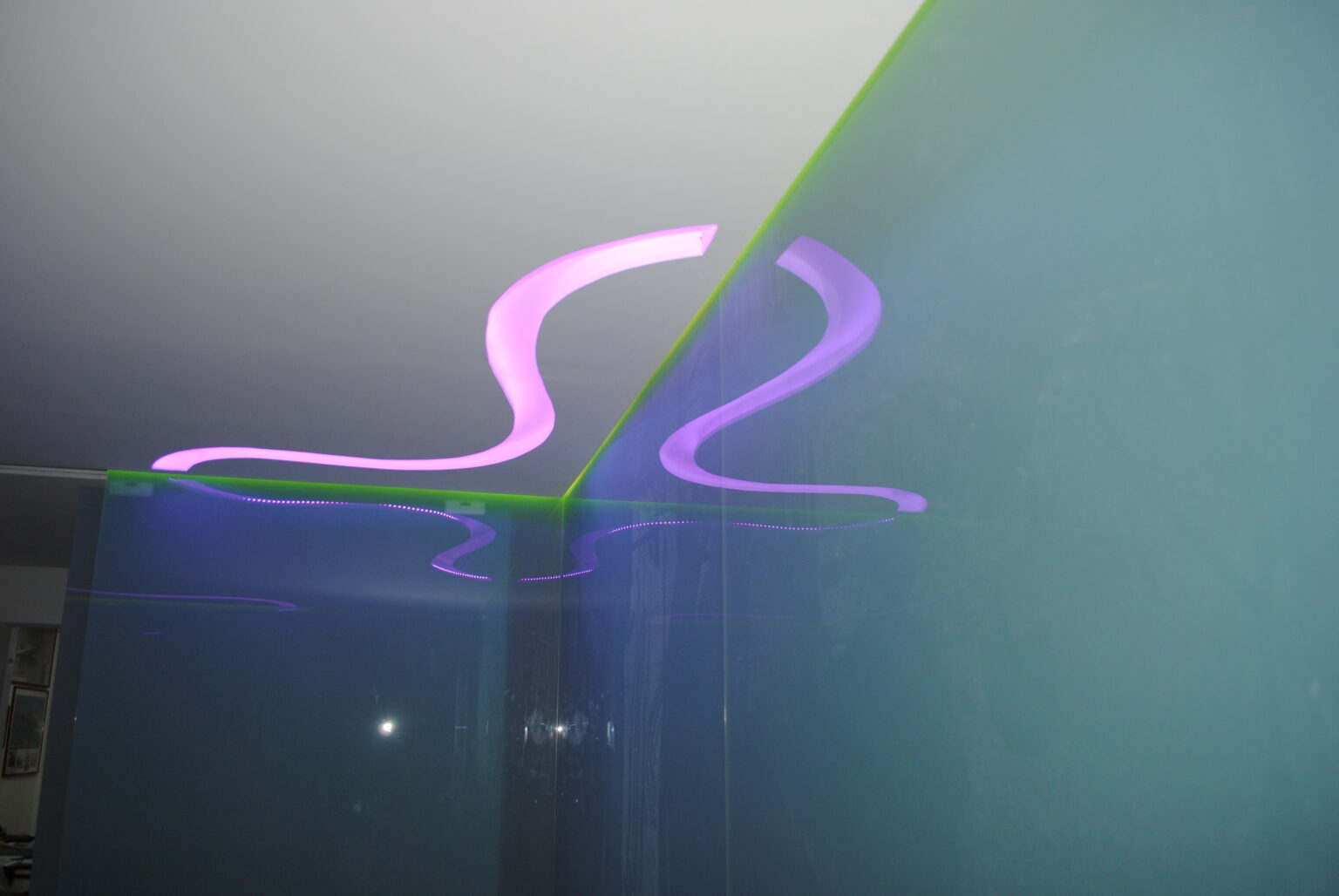 DSC_0015